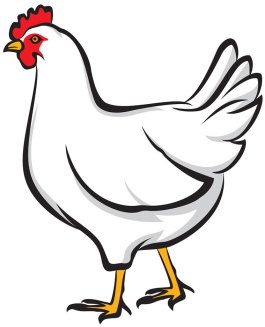 chicken-clipart-chicken-vector-free-download-clip-art-clip-art-library-free-clip-art